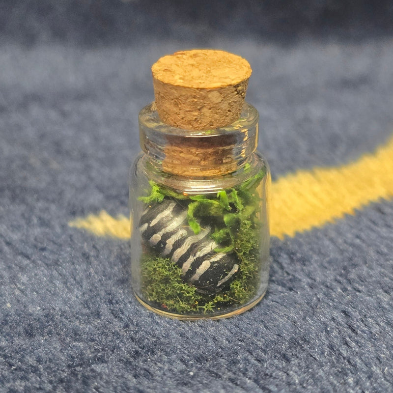 Lucky Little Pod - Glass Bottle Trinket