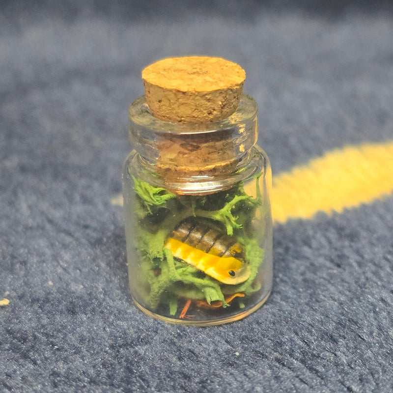 Lucky Little Pod - Glass Bottle Trinket